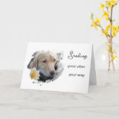 *~* AP61 嫌な犬 いい感じの花 カード (黄色い花)