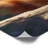 *~* AP68 5:4ふわふわオレンジ猫子猫子天 ポスター (角)