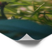 *~* AP68 5:4ネコ子猫キッテンフワフワ自然 ポスター (角)