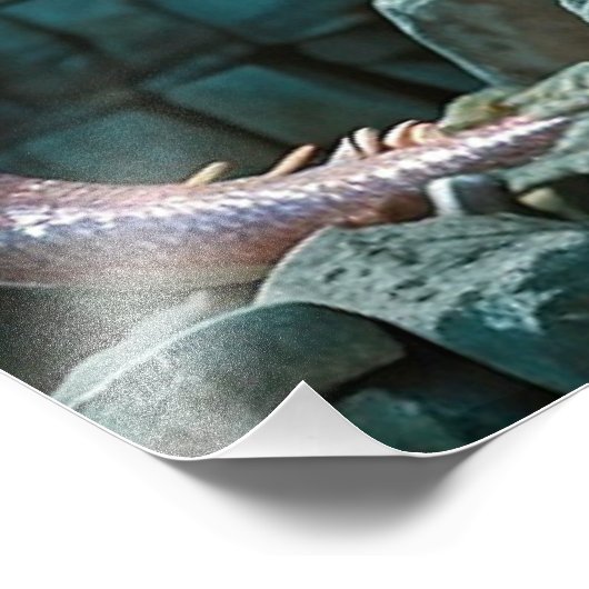 *~* AP88 Castle  Fantasy Dragon Wall Artwork 21 フォトプリント (角)