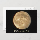 AP -おもしろいお月はがき ポストカード (正面/裏面)