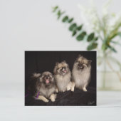 Apacheがジョークのはがきを伝える ポストカード (スタンド正面)