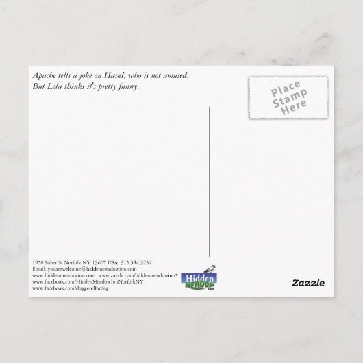Apacheがジョークのはがきを伝える ポストカード (裏面)