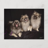 Apacheがジョークのはがきを伝える ポストカード (正面)