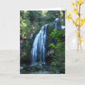 Apacheの滝グリーティングカー賛美ド カード (黄色い花)