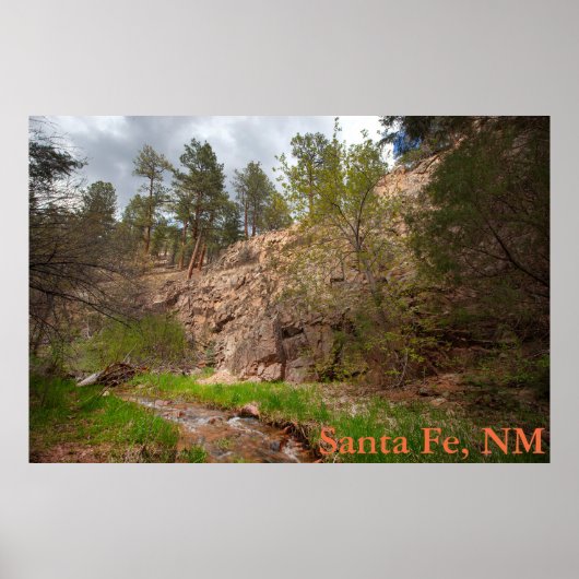 Apache Canyon, Santa Fe National Forest, NM ポスター (正面)