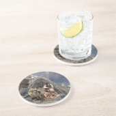 Apache Warriors：アメリカの騎兵隊の待ち伏せ コースター (側面)