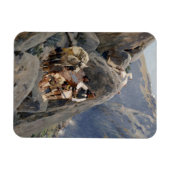 Apache Warriors：アメリカの騎兵隊の待ち伏せ マグネット (横)