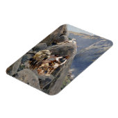 Apache Warriors：アメリカの騎兵隊の待ち伏せ マグネット (左側)