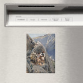 Apache Warriors:アメリカの騎兵隊の待ち伏せ マグネット (インサイチュ (食洗機))