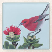 Apapane & Lehua Blossom Hawaii Nature Illustration ガラスコースター (正面)
