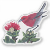 Apapane & Lehua Blossom Hawaii Nature Illustration シール (正面)