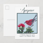 Apapane & Lehua Blossom Hawaii Nature Illustration ポストカード (正面/裏面)