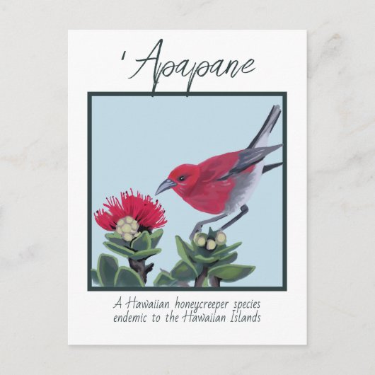 Apapane & Lehua Blossom Hawaii Nature Illustration ポストカード (正面)