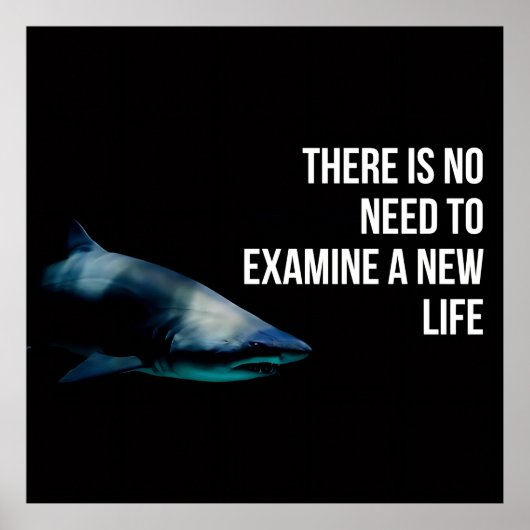 Apex ポスター (正面)