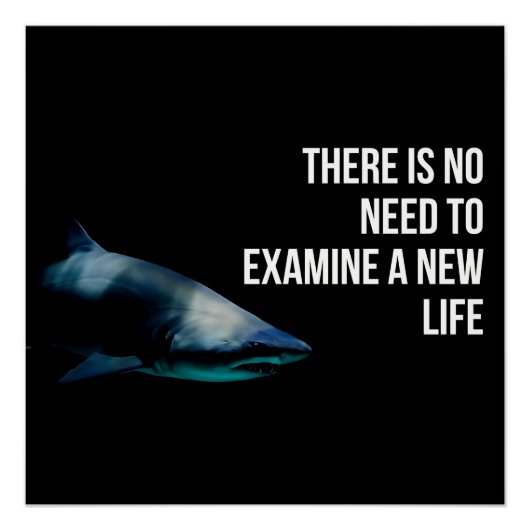 Apex ポスター (正面)