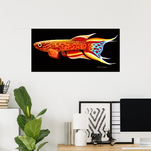 Aphyosemion Australe Killifish Poster ポスター (ホームオフィス)