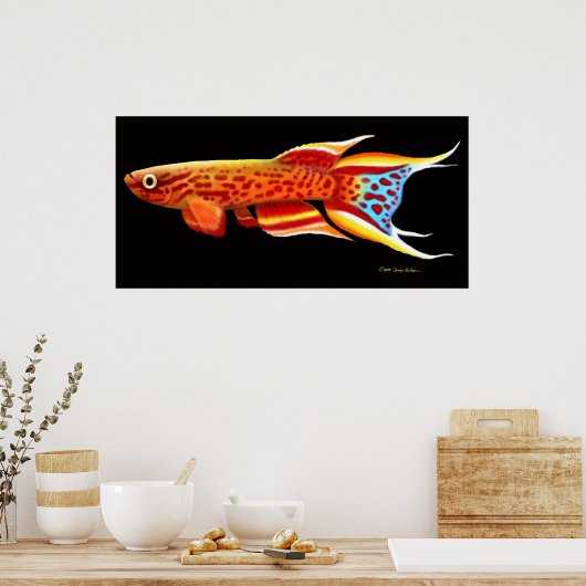 Aphyosemion Australe Killifish Poster ポスター (キッチン)