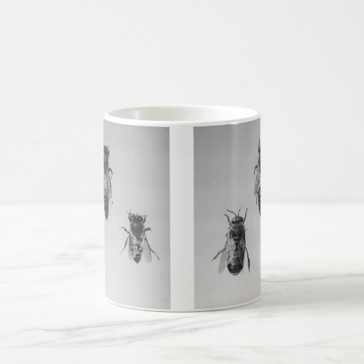 ApiologyのApiaristを保っている女王の無人機の働きバチ コーヒーマグカップ (中央)