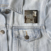 Apis Bull、Serapeumから、メンフィス 缶バッジ (インサイチュ)