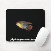 Apistogrammaのborelliiのmousepad マウスパッド (マウス)