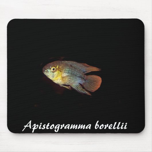 Apistogrammaのborelliiのmousepad マウスパッド (正面)