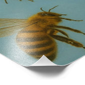 APLICAÇÃO DE FOTO フォトプリント            (角)