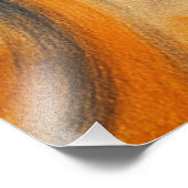 APLICAÇÃO DE FOTO フォトプリント            (角)