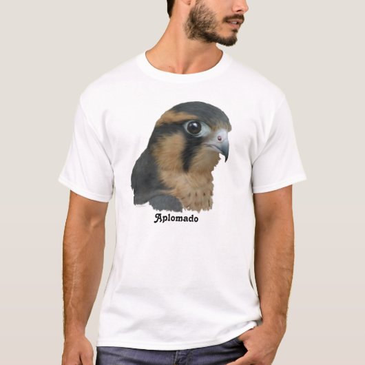 Aplomado Tシャツ (正面)