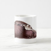 Aplysiaのインカ人 コーヒーマグカップ (中央)