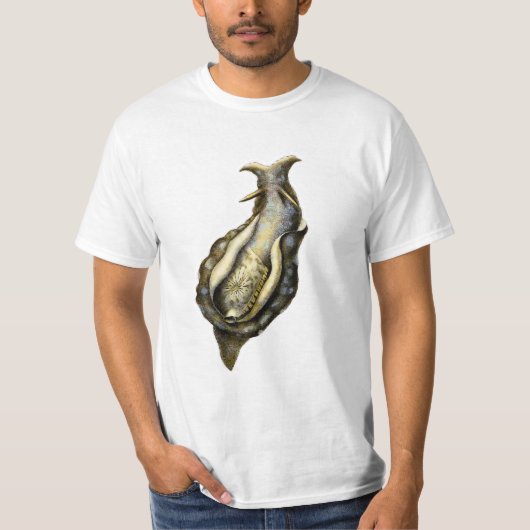 Aplysiaのdepilans Tシャツ (正面)