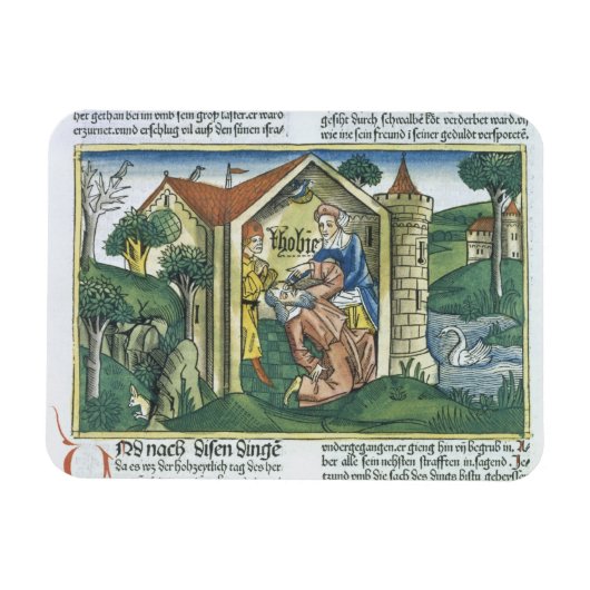 Apocrypha：トビットはスズメの糞で目がくらむ マグネット (横)