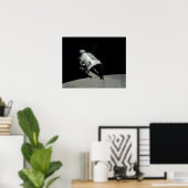 Apollo 17コマンドモジュール ポスター (ホームオフィス)