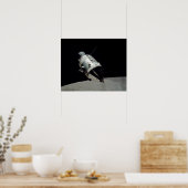 Apollo 17コマンドモジュール ポスター (キッチン)