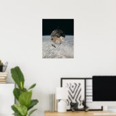 Apollo 9コマンド&サービスモジュール ポスター (ホームオフィス)