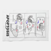 Apoptosisの生物学によってプログラムされる細胞死 キッチンタオル (横)