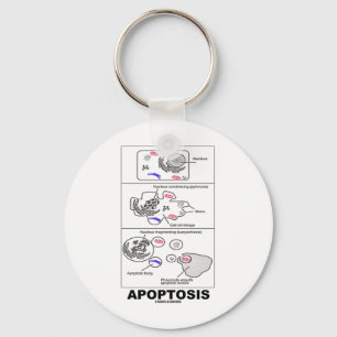 Apoptosis (生物学の細胞死) キーホルダー