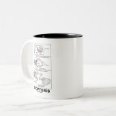 Apoptosis (生物学の細胞死) ツートーンマグカップ (正面左)