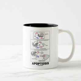 Apoptosis (生物学の細胞死) ツートーンマグカップ