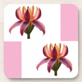 Aporta-copos de plástico  Flor コースター (正面)