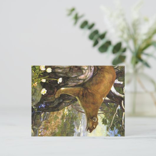 Appalachian Animals ポストカード (スタンド正面)