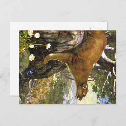 Appalachian Animals ポストカード (正面/裏面)