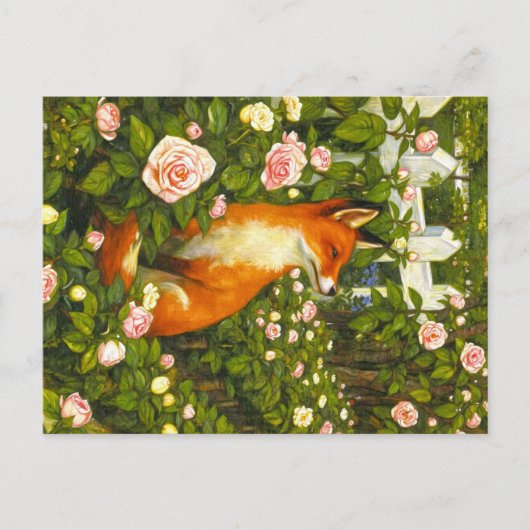 Appalachian Animals  ポストカード (正面)