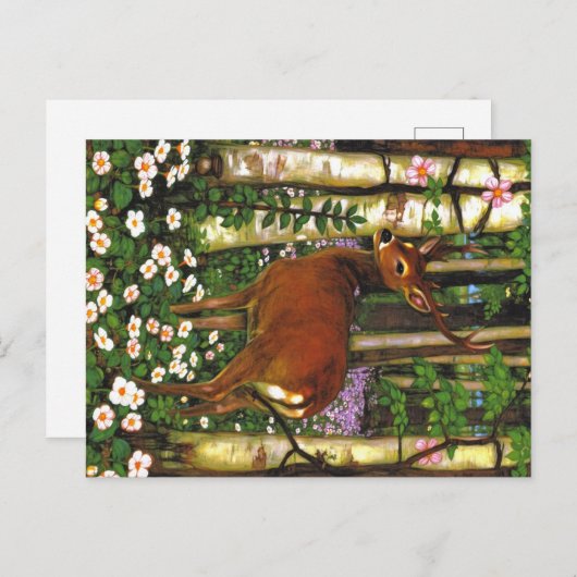 Appalachian Animals ポストカード (正面/裏面)