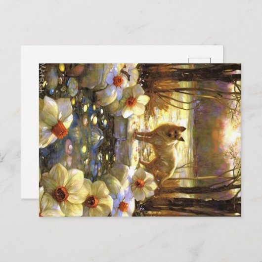 Appalachian Animals ポストカード (正面/裏面)