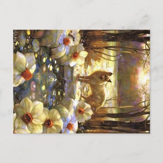 Appalachian Animals ポストカード (正面)