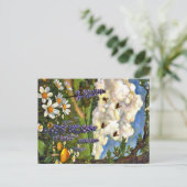 Appalachian Animals  ポストカード (スタンド正面)