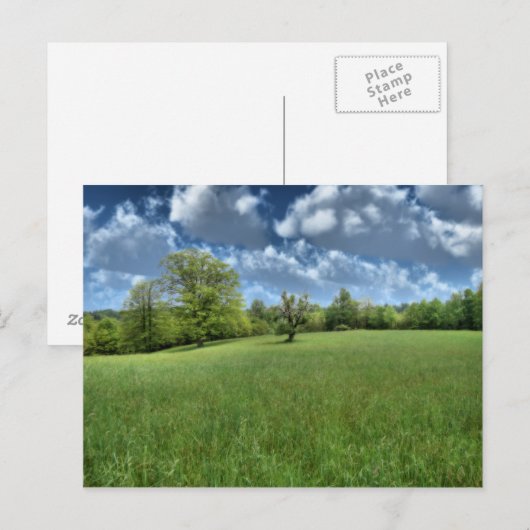 Appalachian Green Postcard ポストカード (正面/裏面)