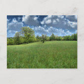 Appalachian Green Postcard ポストカード (正面)