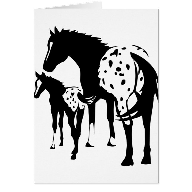 Appaloosaのロバおよび子馬 (正面)
